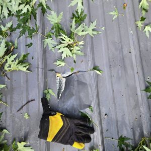 Hole Roof