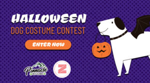 2023 Halloween Dog Costume Contest