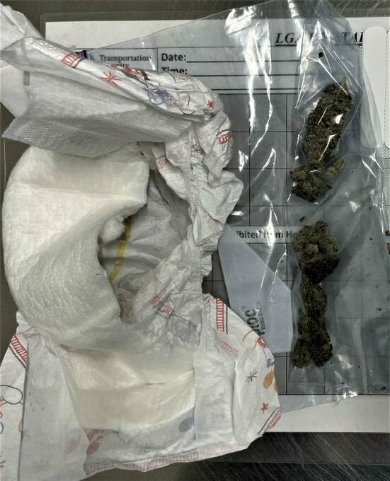 TSA Busts Woman With Weed in Adult Diaper