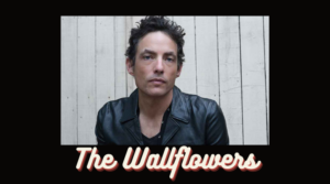 Wallflowers thumbnail (720 × 400 px)