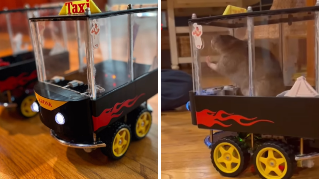 Rescue Rats Drive Tiny Cars