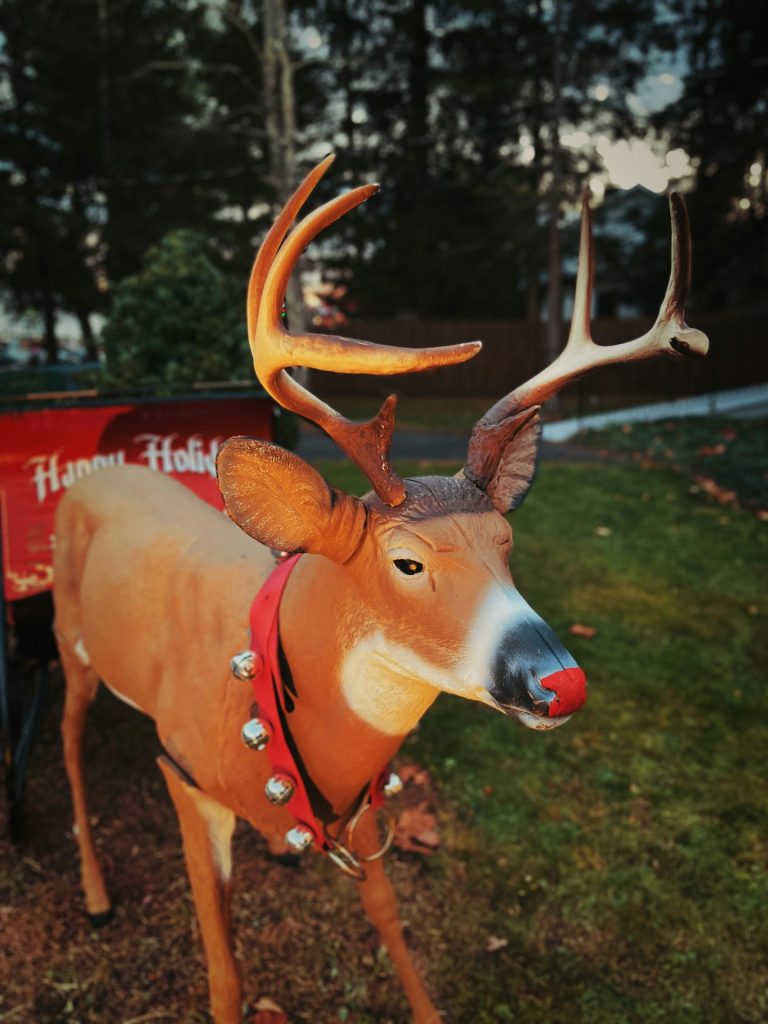 Grandma Run Over… By A Reindeer