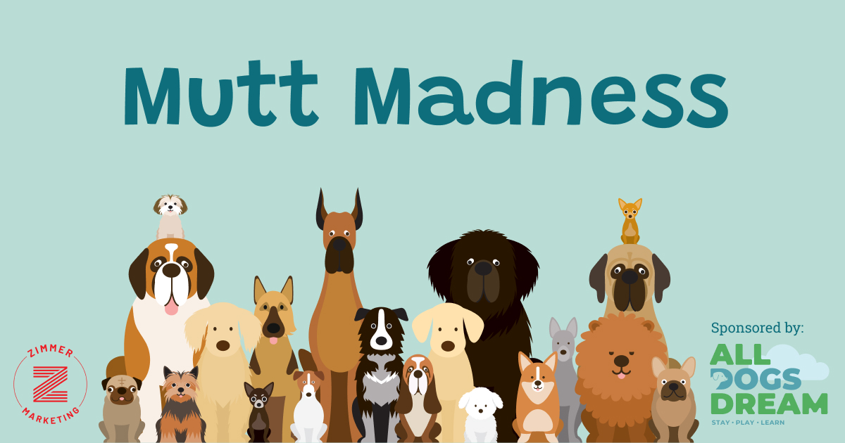 Mutt madness 2025 classic hits 93 9 kjmk