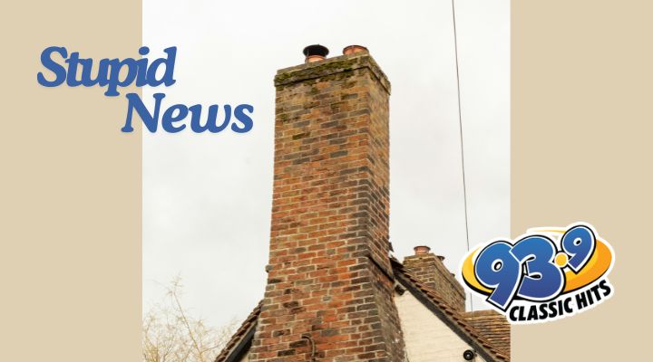 Man Charged After Attempting Dog Rescue S...