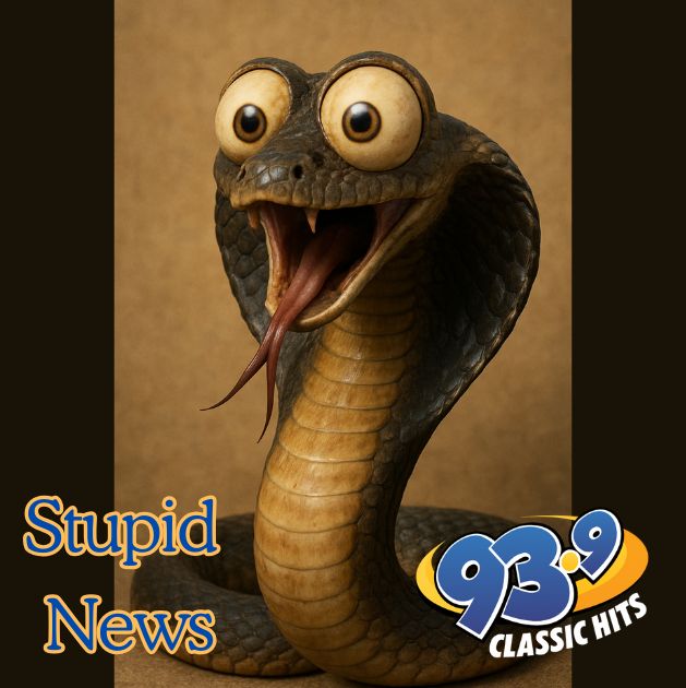 Toddler Bites Cobra