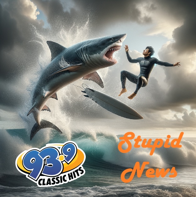 Surfer Headbutted By Flying Shark