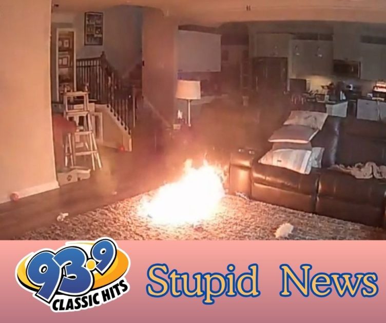 Firefighter’s Dog Sparks House Fire Chewi...