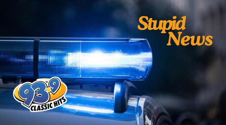 Police on the Lookout for a Thieving Knoc...