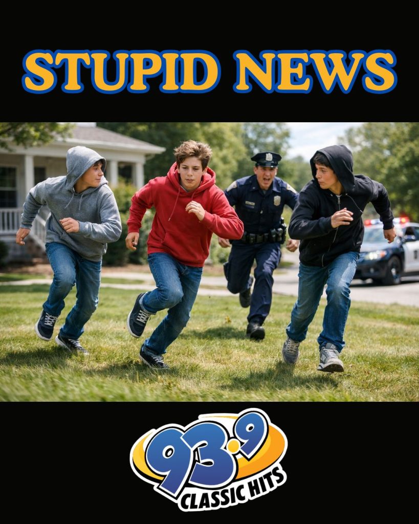 Tween Car Thieves Crash Into House, Panic...