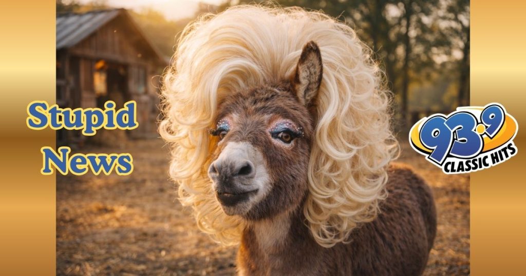 State Troopers Capture Dolly Parton… The ...