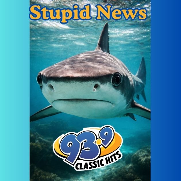 Caribbean Cocaine Sharks