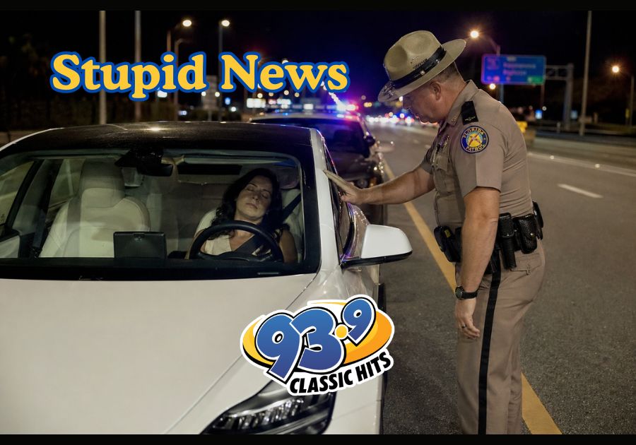 Tesla Pulls Over After DUI Driver Passes ...