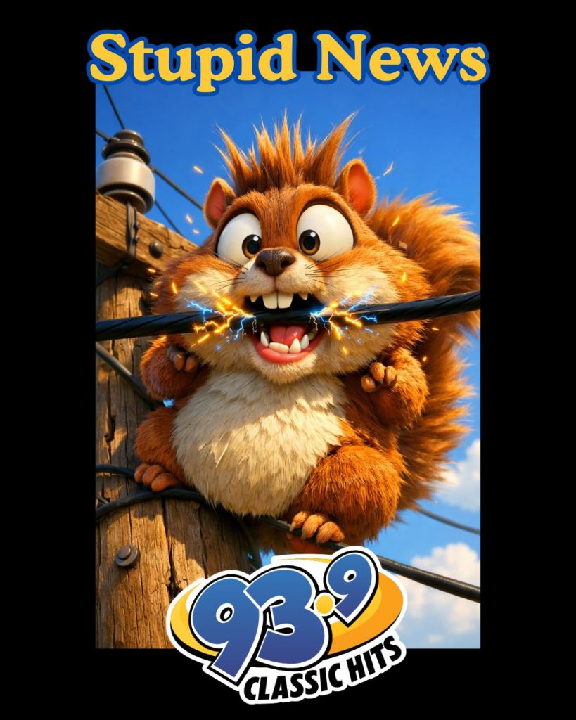 Squirrel Sparks Massive Easter Sunday Out...