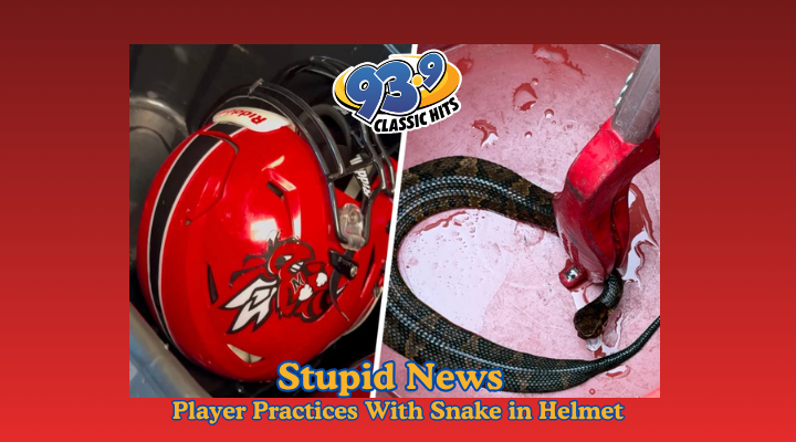 Player Practices With Snake in Helmet
